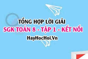 Giải Bài tập Toán 8 tập 1 SGK Kết nối tri thức